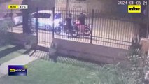 Video: Dos motoasaltantes detenidos en flagrancia