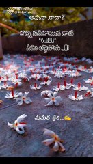 9953d69889de4f90b4bf65a738568130