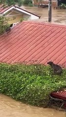 46bfba9a27284b88ad6de59b83e6b6d4