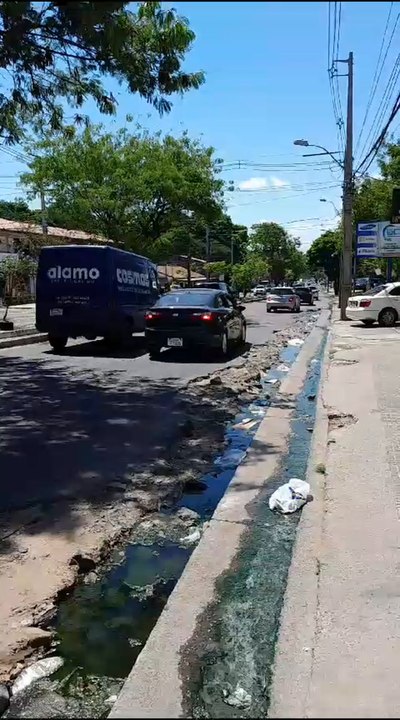 Avenida Fernando De La Mora