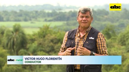 Video: remover el suelo para la siembra es un error