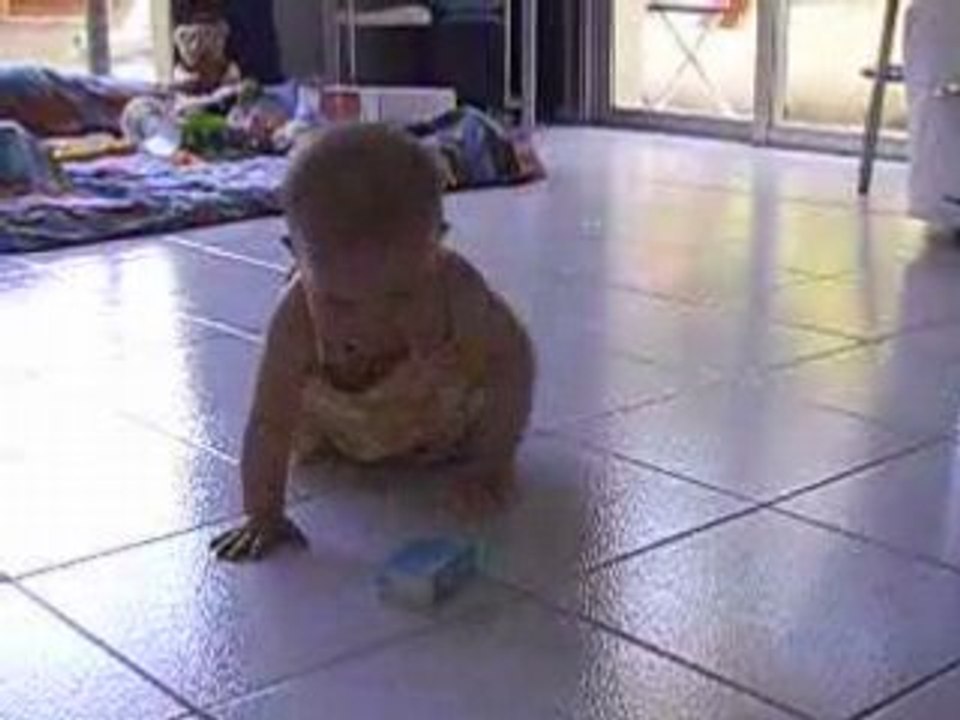 10e mois - 4 pattes 1