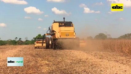 Video: Complejo soja ingreso US$ 4.557 millones hasta noviembre de 2023