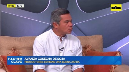 Video: avanza cosecha de soja