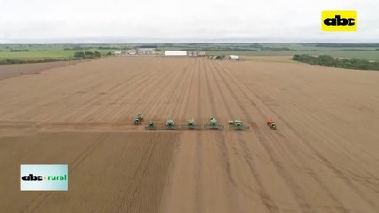 Video: cosecha de soja en Brasil podría bajar y Argentina con buen panorama