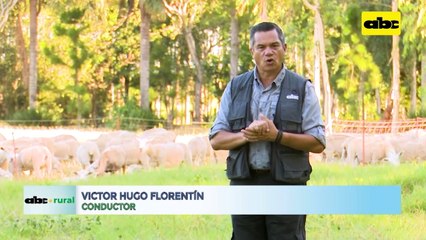 Video: Cama Biológica Indirecta para desechar restos de fitosanitarios