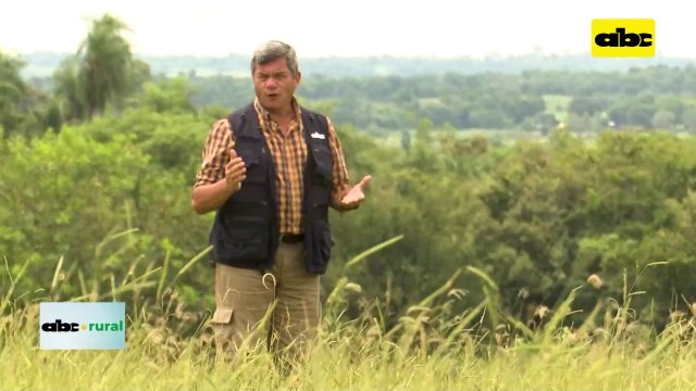 Video: Parpov confirma mejor venta de semillas legales