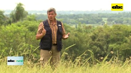 Video: Parpov confirma mejor venta de semillas legales