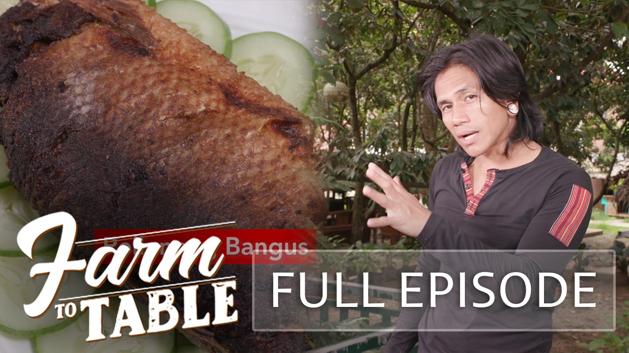 Get ready for the HOLIDAYS with Chef JR Royol's NOCHE BUENA recipes! (Full Episode) | Farm To Table