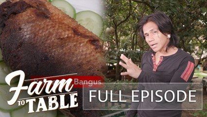 Get ready for the HOLIDAYS with Chef JR Royol's NOCHE BUENA recipes! (Full Episode) | Farm To Table