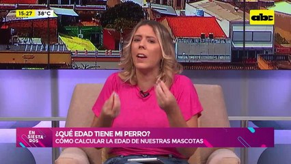 ¿Qué edad tiene mi perro?: cómo calcular la edad de nuestras mascotas