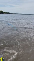 Varias Personas Registraron A Un Caño Flotando En El Lago Ypacaraí