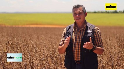 Video: Copronar realizó su jornada de campo de soja