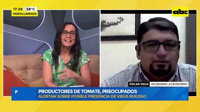 Productores de tomate, preocupados: alertan sobre posible presencia de virus rugoso