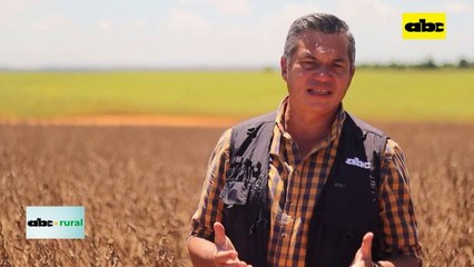 Video: Tecnoempar presente en jornada de campo de la Cooperativa Sommerfeld