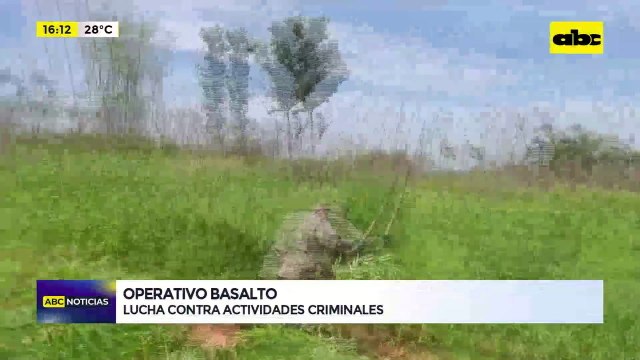 Operativo Basalto: millonario perjuicio a organizaciones delictivas