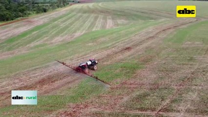 Video: uso de tierra de diatomea para control de plagas