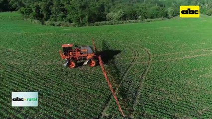 Video: complementos nutricionales para buen desarrollo de cultivos