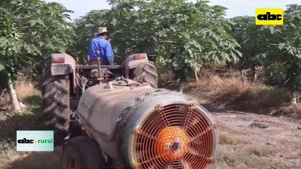 Video: uso de biológicos con resultados en aumento de producción