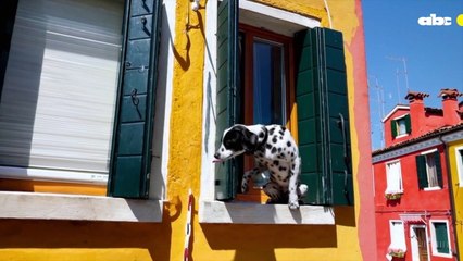 Open AI lanza Sora, una revolucionaria herramienta de vídeo con inteligencia artificial