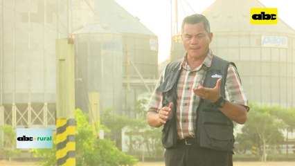 Video: ventajas del uso de Freestall para el confort de vacas lecheras