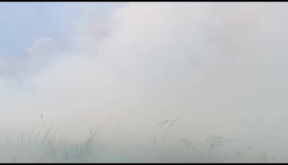 Bomberos alertan ante incendios de gran magnitud en Benjamín Aceval y en Ruta Luque San Bernardino