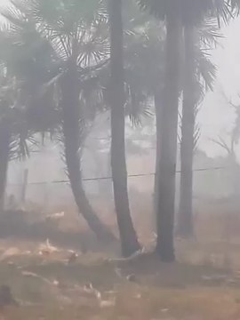 Incendio En Zona Entre Luque Y San Bernardino