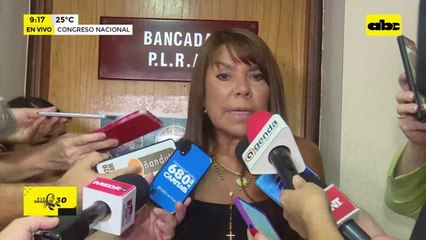 Planillerismo en el Congreso: Dionisio Amarilla debería ser expulsado, dice senadora