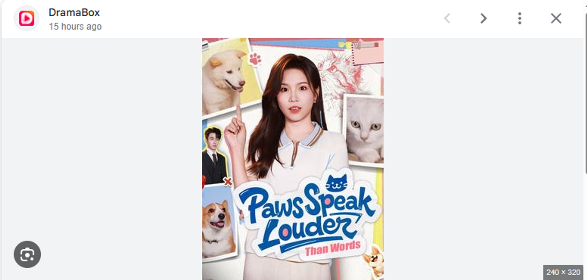 Paws Speak Louder Than Words Chinese Drama - English Sub