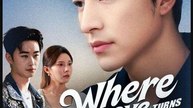 Where Love Turns to Ruins Chinese Drama - English Sub