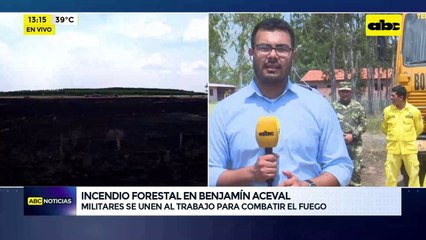 Video: lograron controlar el incendio forestal en Benjamín Aceval