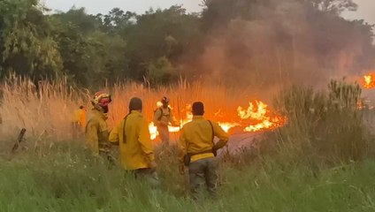 Bomberos trabajan contra incendio de interfaz en San Bernardino