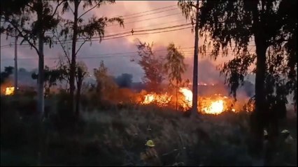 Peligroso incendio de pastizal están combatiendo los bomberos de Carapeguá