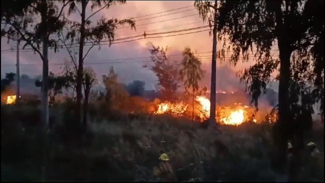 Peligroso incendio de pastizal están combatiendo los bomberos de Carapeguá