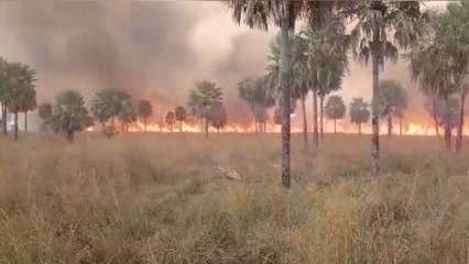 Bomberos controlan incendio de grandes proporciones en Benjamín Aceval