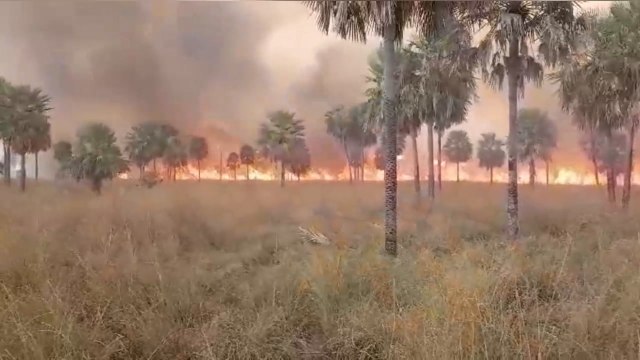 Bomberos controlan incendio de grandes proporciones en Benjamín Aceval