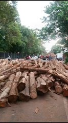 Lomitero casi fue aplastado por rollos de madera en Yaguarón.