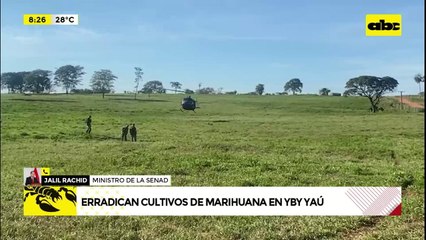 Video: Senad investiga supuesta “narcoavioneta” paraguaya derribada en Brasil