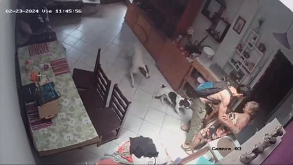 Detenido por violencia familiar tras denuncia