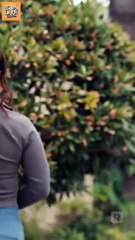 Fated to My Homeless Billionaire Alpha Full Movie HD I Best Drama ShortFilms Hot Billionaire CEO Alpha Dark Romance 2025