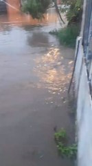 Llos estragos de las inundaciones en Palma Loma-Luque