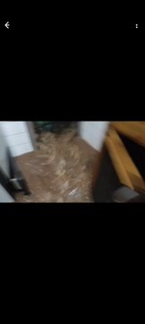 Limpio: arroyos desbordados, caminos intransitables y gente atrapada por lluvias