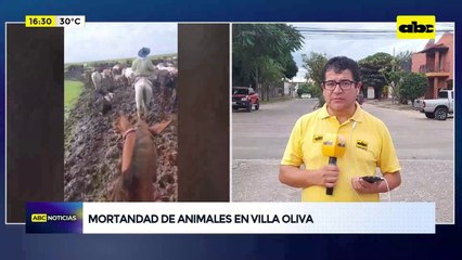 Ñeembucú: mortandad de ganado y pobladores exigen soluciones definitivas