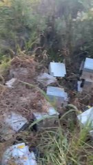 Encuentran más equipos de minería de criptomonedas escondidas entre malezas