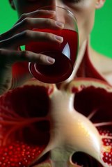 Anatomical Pomegranate Intake “You’ve never seen this happen inside the body before.