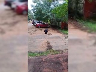 Funcionarios Festejan Con Bombas La Salida De La Exministra De La Defensa Pública