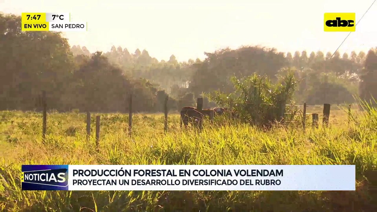 Abc Rural: producción forestal en Colonia Volendam
