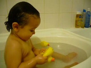 Mare aux canards