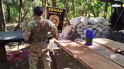 Destrucción De Marihuana