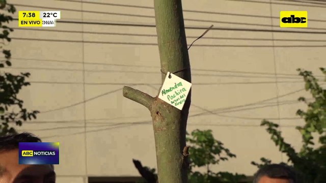 Sajonia: Plantan árboles mientras siguen las obras inconclusas